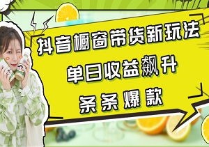 抖音橱窗带货新玩法揭秘：单日收益飙升，操作简单易上手，爆款商品频频出现！-二八网赚