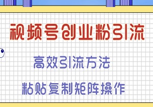 视频号创业粉引流：高效引流方法、粘贴复制矩阵操作-二八网赚