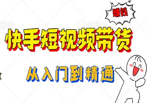 2024快手短视频带货全攻略：从入门到精通，轻松实现商业变现-二八网赚