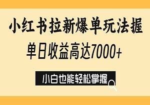 蓝海黑科技：小红书拉新爆单玩法，单日收益高达7000+，小白也能轻松掌握-二八网赚