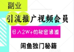 揭秘！闲鱼独门秘籍：引流推广视频会员，日入2W+的秘密通道，操作竟如此简单！-二八网赚