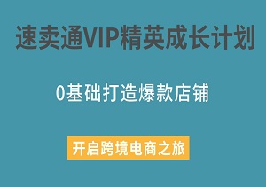 速卖通VIP精英成长计划：0基础打造爆款店铺，轻松开启跨境电商之旅-二八网赚