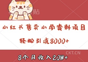 深度解析小红书售卖小学资料项目：8个月收入20W+，轻松引流8000+-二八网赚