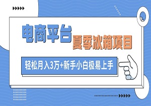 闲鱼电商平台夏季冰箱项目，轻松月入3万+，新手小白极易上手-二八网赚