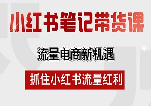 小红书笔记带货课：揭秘流量电商新机遇，紧握小红书流量红利-二八网赚