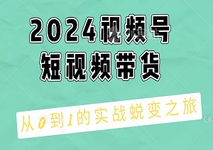 2024视频号短视频带货：从0到1的实战蜕变之旅-二八网赚