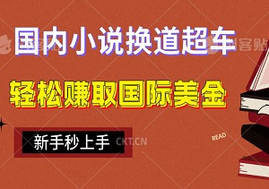 揭秘：从国内小说换道超车，教你如何轻松赚取国际美金，新手秒上手，收益随字数飙升-二八网赚