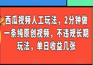 西瓜视频写字玩法揭秘：2分钟原创视频，合规且长期收益可观-二八网赚