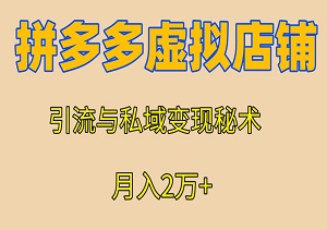 揭秘月入2万+的拼多多虚拟店铺，引流与私域变现秘术-二八网赚