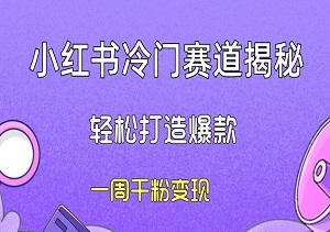 小红书冷门赛道揭秘：轻松打造爆款，一周千粉变现-二八网赚