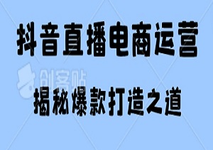 抖音直播电商运营秘籍：0基础蜕变流量达人，揭秘爆款打造之道！-二八网赚