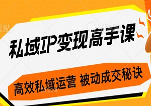 私域IP变现高手课：揭秘高效私域运营，被动成交秘诀，打造卓越朋友圈与社群-二八网赚