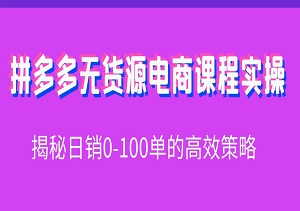 2024拼多多无货源电商系列课程实操：揭秘日销0-100单的高效策略-二八网赚