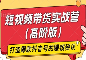 短视频带货实战营（高阶版）：揭秘从0到1打造爆款抖音号的赚钱秘诀-二八网赚