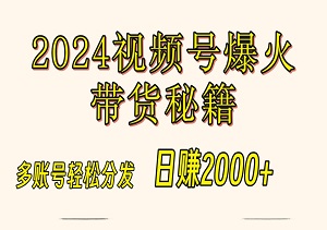 2024视频号爆火带货秘籍：多账号轻松分发，日赚2000+-二八网赚