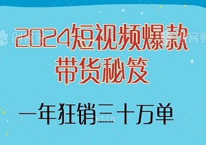 2024短视频爆款带货秘笈：揭秘一年狂销三十万单的达人实操秘诀！-二八网赚