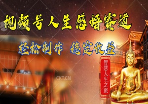 【揭秘】视频号人生感悟赛道：轻松制作，稳定收益，开启智慧人生之旅！-二八网赚