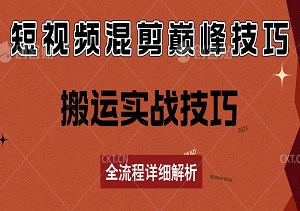 全新升级！揭秘美区短视频混剪巅峰技巧，搬运实战技巧，全流程详细解析！-二八网赚