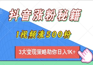 抖音涨粉秘籍：1视频涨500粉，10分钟制作，3大变现策略助你日入1K+-二八网赚