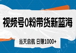 视频号0粉带货新蓝海：当天启航，日赚1000+-二八网赚