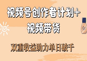 下半年最火风口项目：视频号创作者计划+视频带货，双重收益助力单日破千！-二八网赚