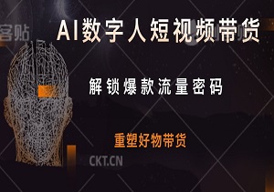 2024年AI数字人短视频带货：解锁爆款流量密码，重塑好物带货-二八网赚