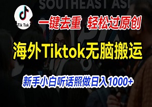 Tiktok全球淘金计划：无脑搬运秒变原创高手，新手小白也能日赚1000+！-二八网赚