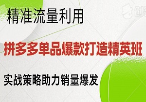 拼多多单品爆款打造精英班2024：精准流量利用，实战策略助力销量爆发-二八网赚