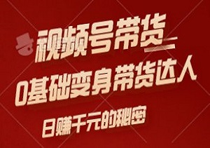 视频号带货：揭秘日赚千元的秘密，0基础小白也能变身带货达人-二八网赚