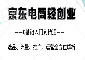 京东电商轻创业：0基础入门到精通的运营秘籍——选品、流量、推广、运营全方位解析与实战经验分享-二八网赚