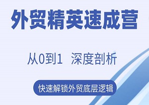 外贸精英速成营：从0到1，深度剖析，重塑认知，快速解锁外贸底层逻辑-二八网赚