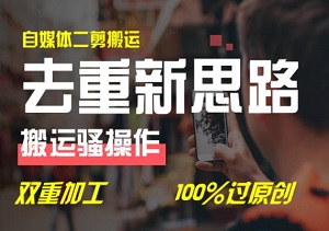 揭秘自媒体视频二剪秘籍：双重去重技巧，打造100%原创精品内容-二八网赚