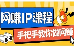 IP合伙人，从0基础教你做网创项目，月入过万-二八网赚