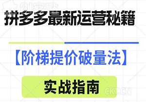 揭秘拼多多最新运营秘籍：阶梯提价破量法实战指南-二八网赚