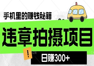 轻松一拍，日赚300+！揭秘隐藏在手机里的赚钱秘籍！-二八网赚