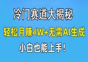 隐秘金矿：冷门赛道揭秘，月入过万，0基础也能轻松驾驭-二八网赚