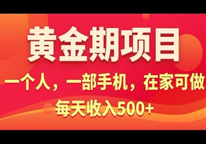 掘金电商：单枪匹马，手机在手，在家日赚500元-二八网赚