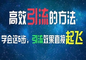 引爆创业圈的秘密武器：打造专属流量池，日增300精准粉，解锁年入30万的财富密码-二八网赚