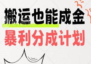 搬运也能成金，揭秘最新平台暴利分成计划，万播百米，一分钟视频打造月入过万秘籍-二八网赚