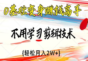 0基础变身赚钱高手，麦克阿瑟纪录片玩法，不用学习剪辑技术，轻松月入2W+-二八网赚