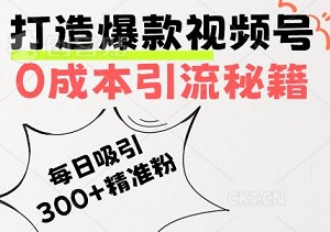 打造爆款视频号：0成本引流秘籍，每日吸引300+精准创业粉丝-二八网赚