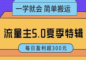 一学就会，流量主5.0夏季特辑：简单搬运，轻松实现每日盈利超300元-二八网赚