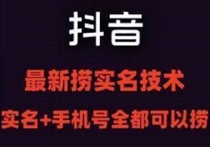 最新技术抖音捞实名+捞手机号技术，抖音直播封禁释放十名/手机号，直接替换出来!-二八网赚