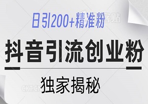 抖音引流创业粉：揭秘日引200+精准粉的创新玩法-二八网赚