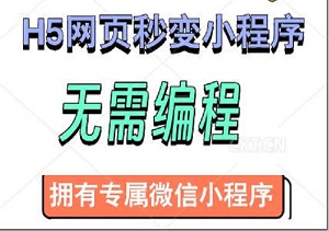 小白也能行，H5网页秒变小程序，无需编程，轻松拥有专属微信小程序！-二八网赚