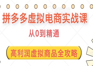 拼多多虚拟电商实战课，从0到精通，高利润虚拟商品选品与运营全攻略-二八网赚