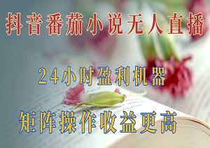 抖音番茄小说无人直播，打造无人值守的24小时盈利机器-二八网赚