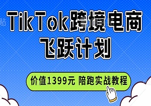 TikTok跨境电商飞跃计划：价值1399元的小黄车带货全程陪跑实战教程-二八网赚