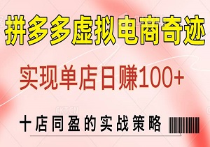 揭秘拼多多虚拟电商奇迹：实现单店日赚100+，十店同盈的实战策略-二八网赚