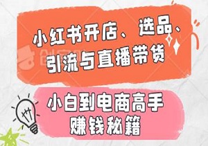 从小白到电商高手：全面解析小红书开店、选品、引流与直播带货的赚钱秘籍-二八网赚